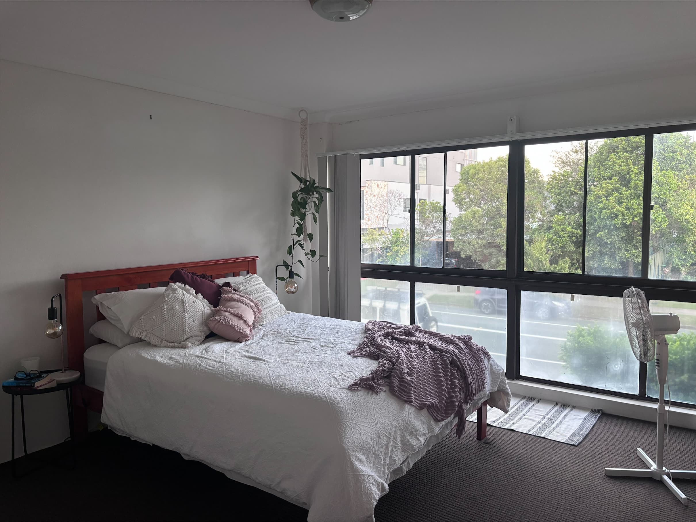 56 Tallebudgera Dr, Palm Beach photo